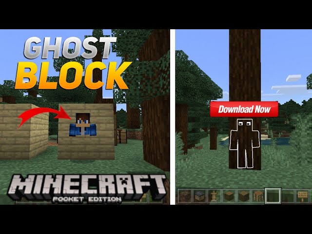 Mod Ghost Block for Minecraft