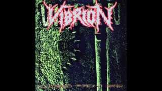 Vibrion - Toxic Shock (Agnostic Front Cover)