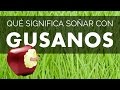 Que significa soñar con Ardillas - YouTube