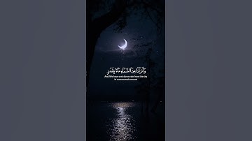 سورة المؤمنون #ياسر_الدوسري