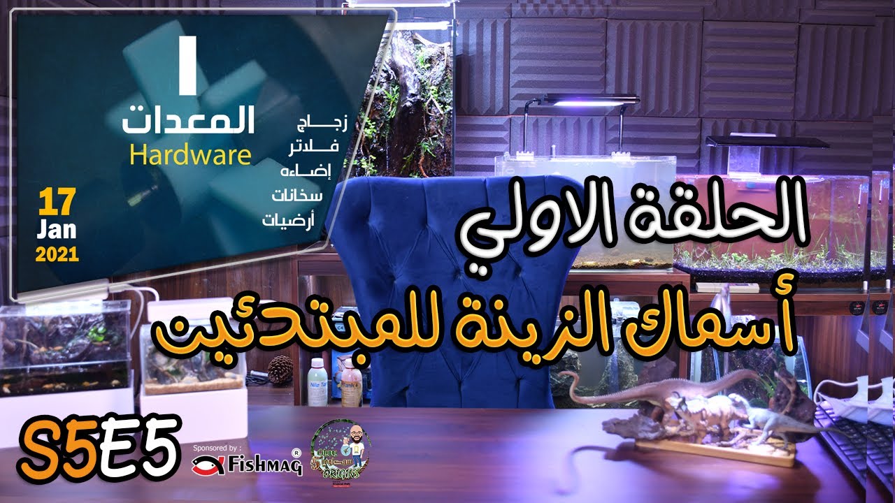 S5E5 - (أسماك الزينة للمبتدئين (الحلقة الاولي