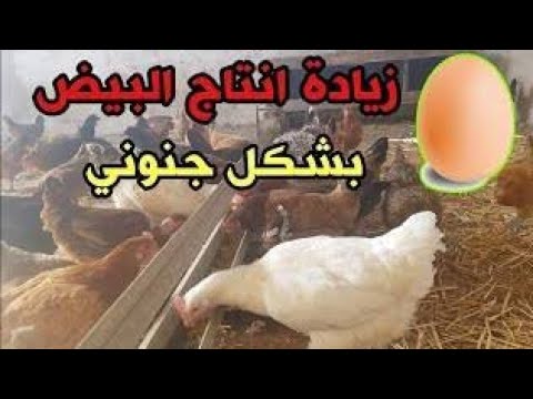 فيديو: الحد الأدنى من الحرث: الإيجابيات والسلبيات ، المعنى