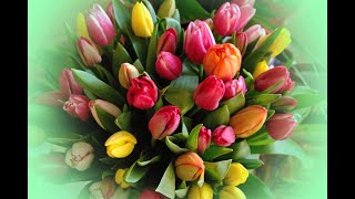 *** - WALTZ OF THE TULIPS ( in double colors) -  Music ANDRE RIEU - ***