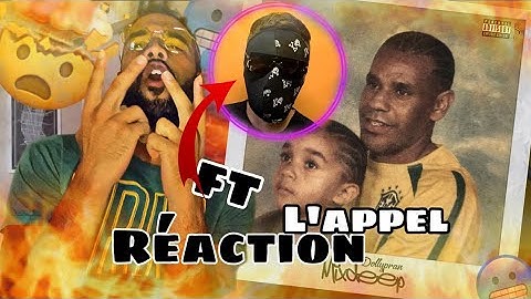 DMRéaction Dollypran - L