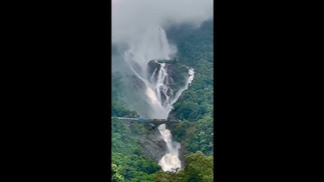 Let Your Income Flow Like a Waterfall | WP CV Builder Plugin for Passive Revenue