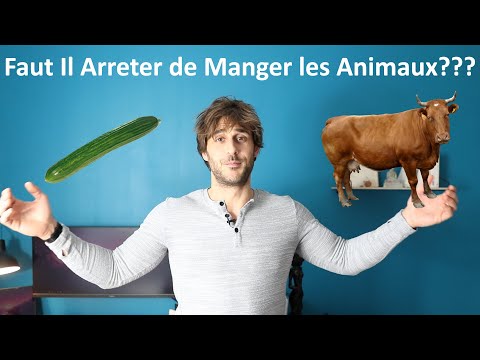 Faut Il Arrêter De Manger Les Animaux ???