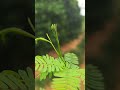 #nature #naturelovers #naturephotography