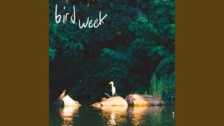 Video thumbnail of "Bird Week - Others"