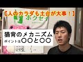 本当の猫背の原因～土台が大事です～【猫背専門の整体ホクセイが教えます】