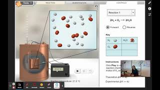 Reaction Energy Gizmo: Introduction
