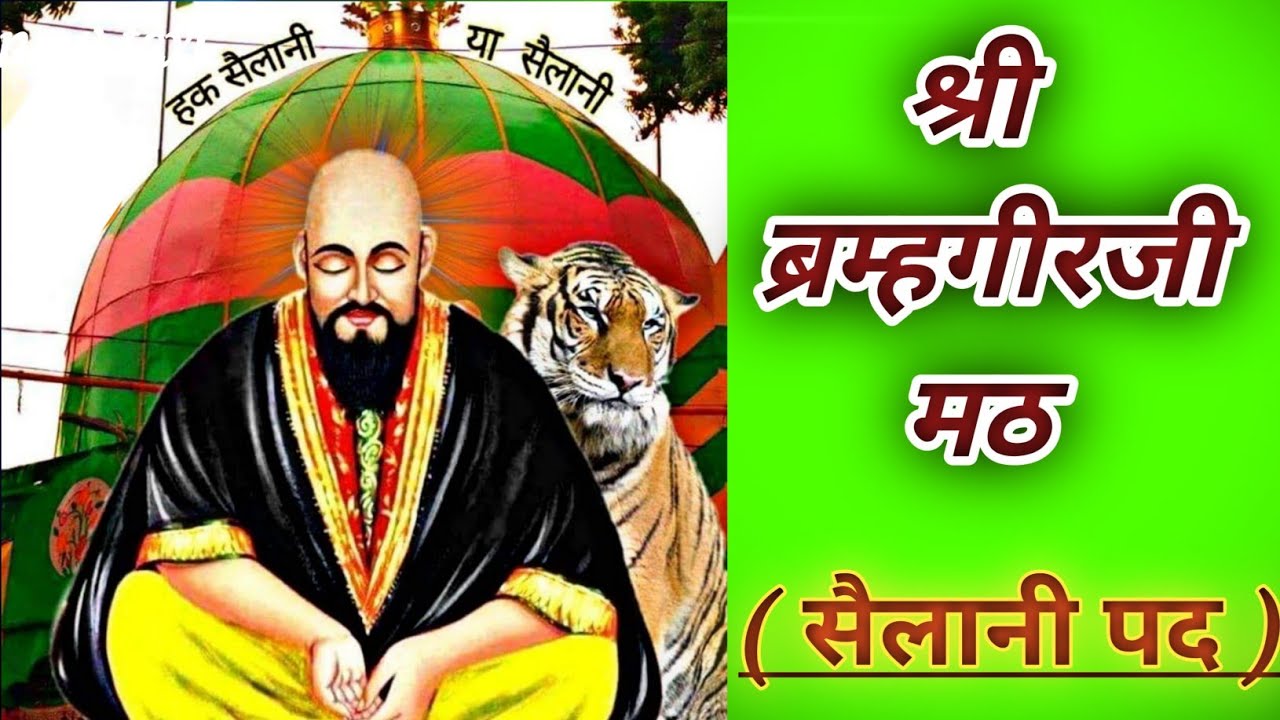 श्री संत चोलाराम ( सैलानी पद ) 🚩एकतारी भजन गायक : श्री. प्रताप महाराज 🙏🙏