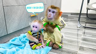 Monkey Kaka and Monkey Mit got cold when they secretly took a bath
