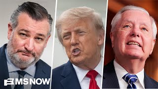 Trump's 'RIDE-OR-DIE' Republican allies in Congress MELTING DOWN over his Iran peace deal proposal