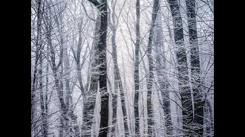 آيات ابطال السحر القارئ الشيخ سعد الغامدي