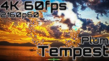 [4K 60fps #13] Plum - Tempest | by 고사리, -K, Goyeetroll, DAFI
