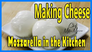 Famous Anyone can make Mozzarella Cheese from a quality kit. Profile