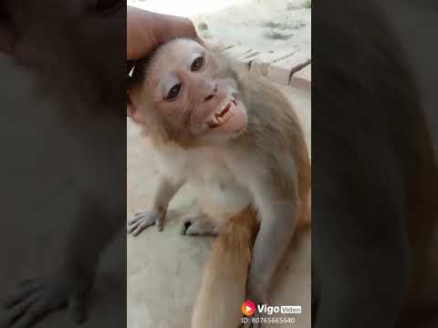 meri-janu-muskura-de-mujhe-pagal-bana-de