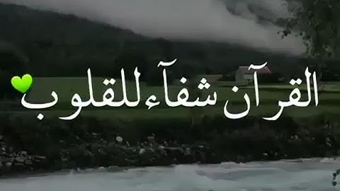 قرآن كريم بصوت إدريس أبكر 💚🎧 أجمل حالات واتس اب دينية مقاطع دينية قصيرة مقاطع انستقرام دينية