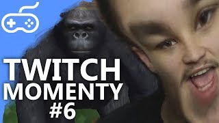 TWITCH MOMENTY #6