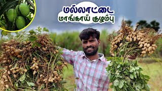 Tamil Cooking Videos