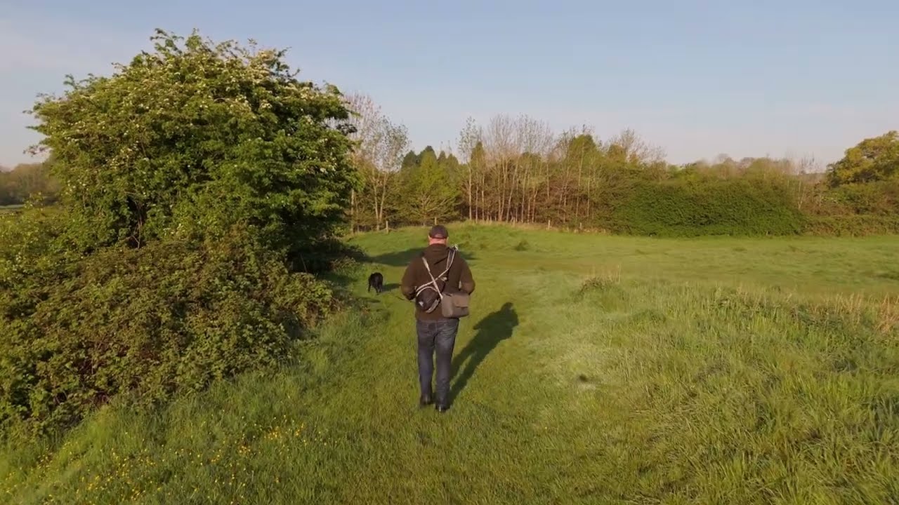 A Walk To Abbey Stadium