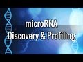 microRNA Discovery & Profiling