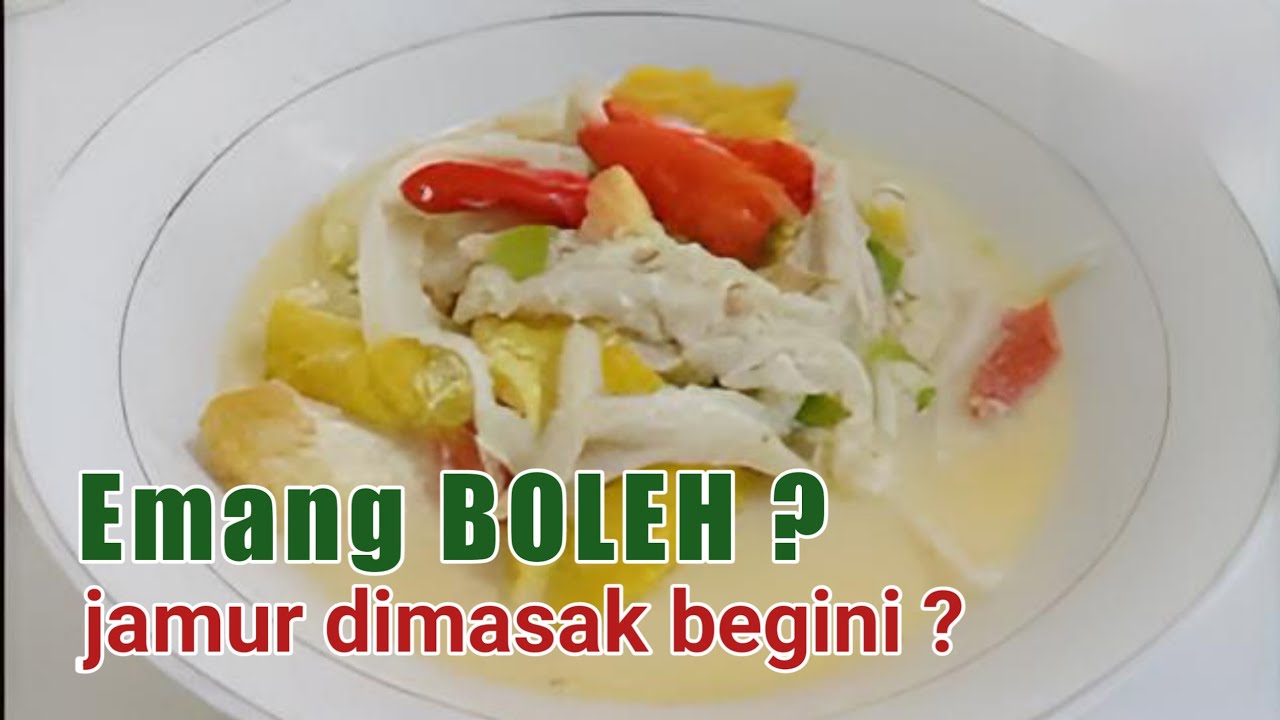 RESEP JAMUR TIRAM santan ENAK Rasa Luar Biasa JAMUR TIRAM JANGAN CUMA