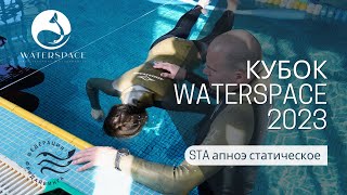 видео: Соревнования по фридайвингу - Кубок Waterspace 2023 | апноэ - статическое STA картинка: Соревнования по фридайвингу - Кубок Waterspace 2023 | апноэ - статическое STA