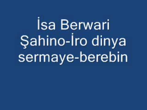 İsa Berwari Şahino İro dinya sermaye berebin