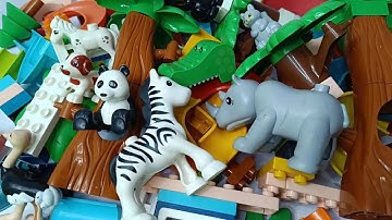 Satisfying Building Blocks ASMR Marble Run #222 spiral funnel and many animals course Live 4