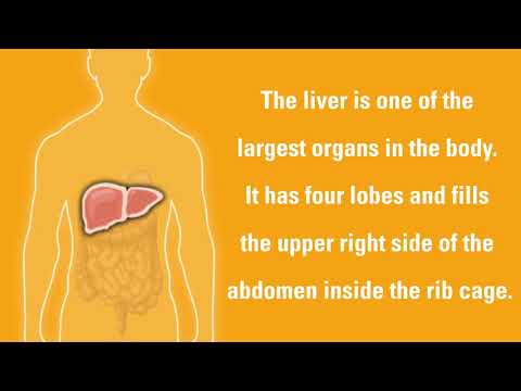 Liver Cancer Signs and Symptoms | Dana-Farber Cancer Institute