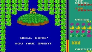 Swimmer (Arcade) (Full Game)