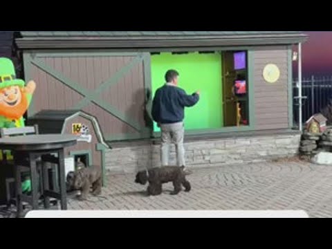 2/27 - Rocco and Ranger join the 6 PM show!