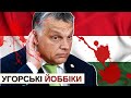 За що УГОРЩИНА не любить Україну? | Історія для дорослих