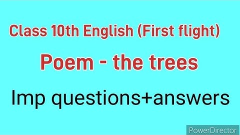 write three things that cannot happen in a treeless forest ? Class 10th imp questions of tree poem