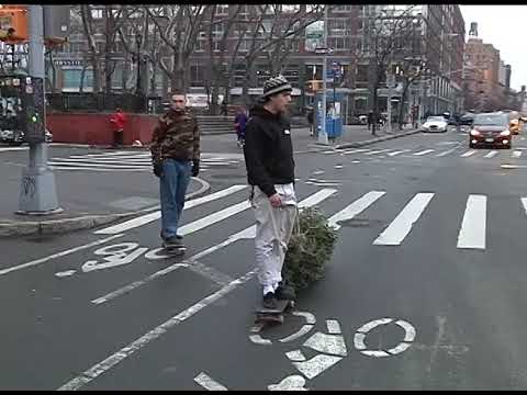 Ben Stu Tree