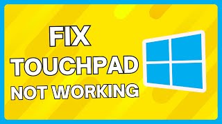 How To Fix Touchpad Windows 10 & Windows 11 | Fix Touchpad Not Working | Easy Tutorial