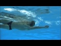DGI svømning - Rygcrawl - Arme profil