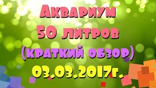 Аквариум 50 литров. 03.03.2017 г. Аквариум 50 литров. 03.03.2017 г.