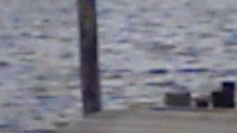 2002 STO WGP Autococker 4 SALE!!!!