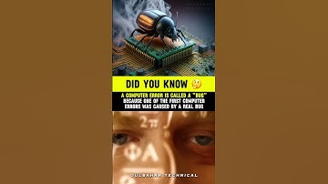 What’s a Computer Bug? | The True Story of a Real Insect in the Machine 🐛