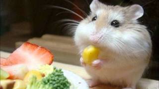 Richard Clayderman  Nadias Theme