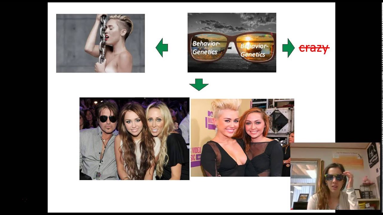 Contemporary Perspectives 2015