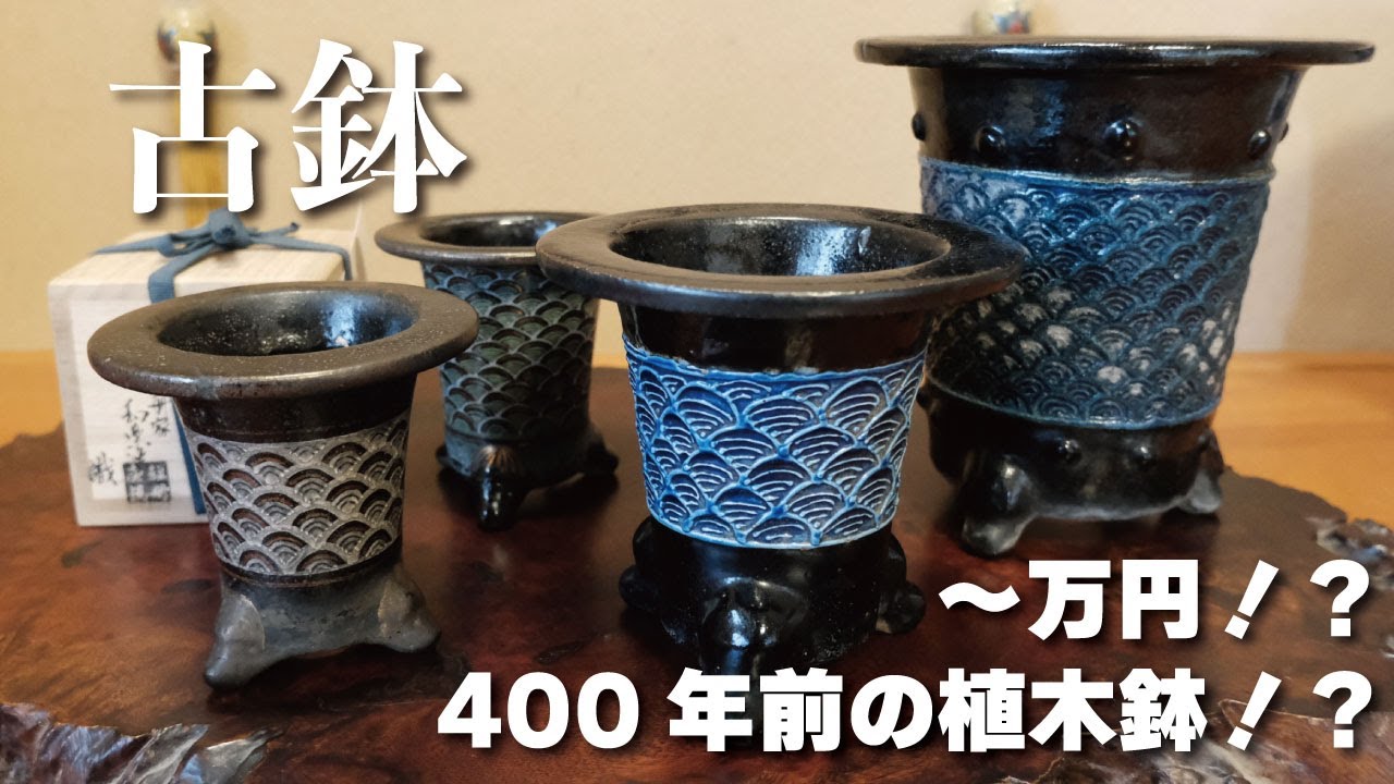 古鉢の紹介〜青海波編〜 #400年前の植木鉢 - YouTube