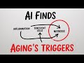 AI Cracks the Code of Aging — First Anti-Necrotic Drug Explained