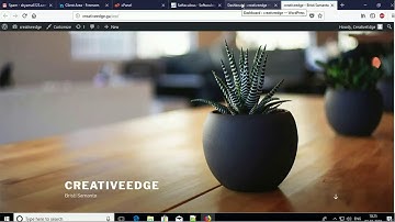 How to Create A Free Website - with Free domain + hosting - with - wordpress website developer