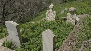 Diwan-I Mela Cin Cin Kirin Zulfin Siyah