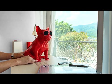 AeroBull XS1 - French Bulldog Speaker Unboxing and Review