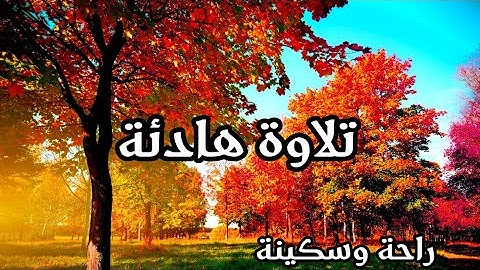 قران للصم هادئة تريح الاعصاب 💚سورة نون القلم 💚 quran for deaf ||  ارح بالك