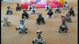 Aibo Meet UK by Aibo Addicts 12,120 views 15 years ago 3 minutes, 49 seconds